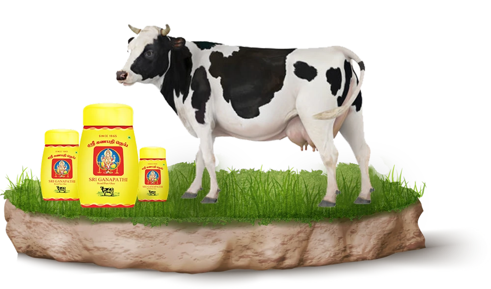 Top Cow Ghee Manufacturers And Retailers in Coimbatore